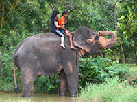 Sri Lanka | Elefantenreiten