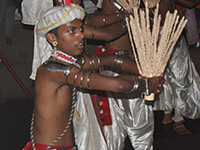 Esala Perahera in Kandy