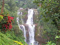 Sri Lanka | Ramboda Wasserfall