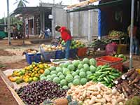 Sri Lanka | Gemüse und Obst